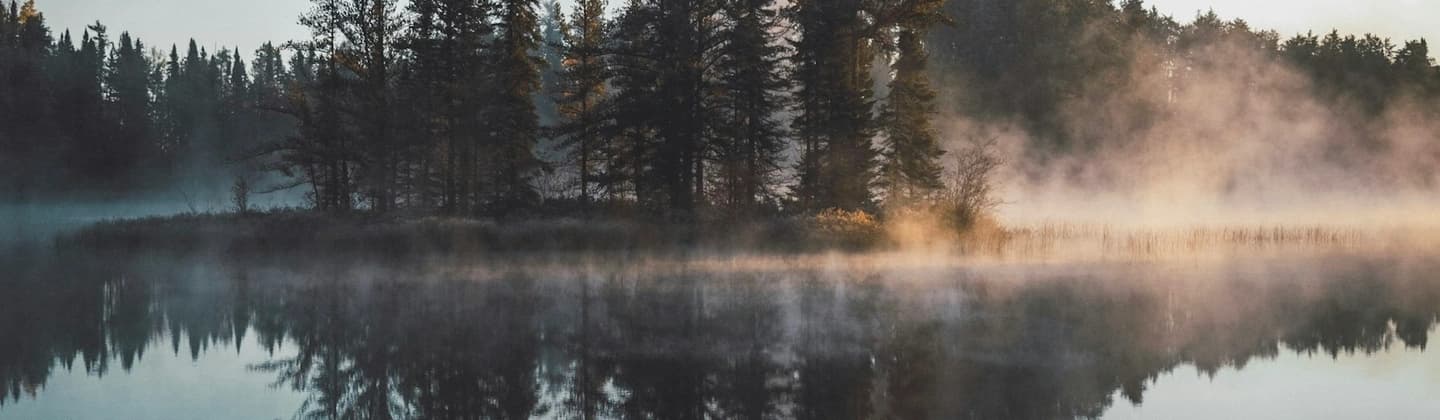 Grief & Loss Counselling
