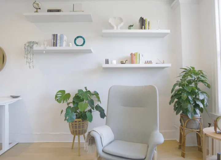 Reading chair with shelves and monstera